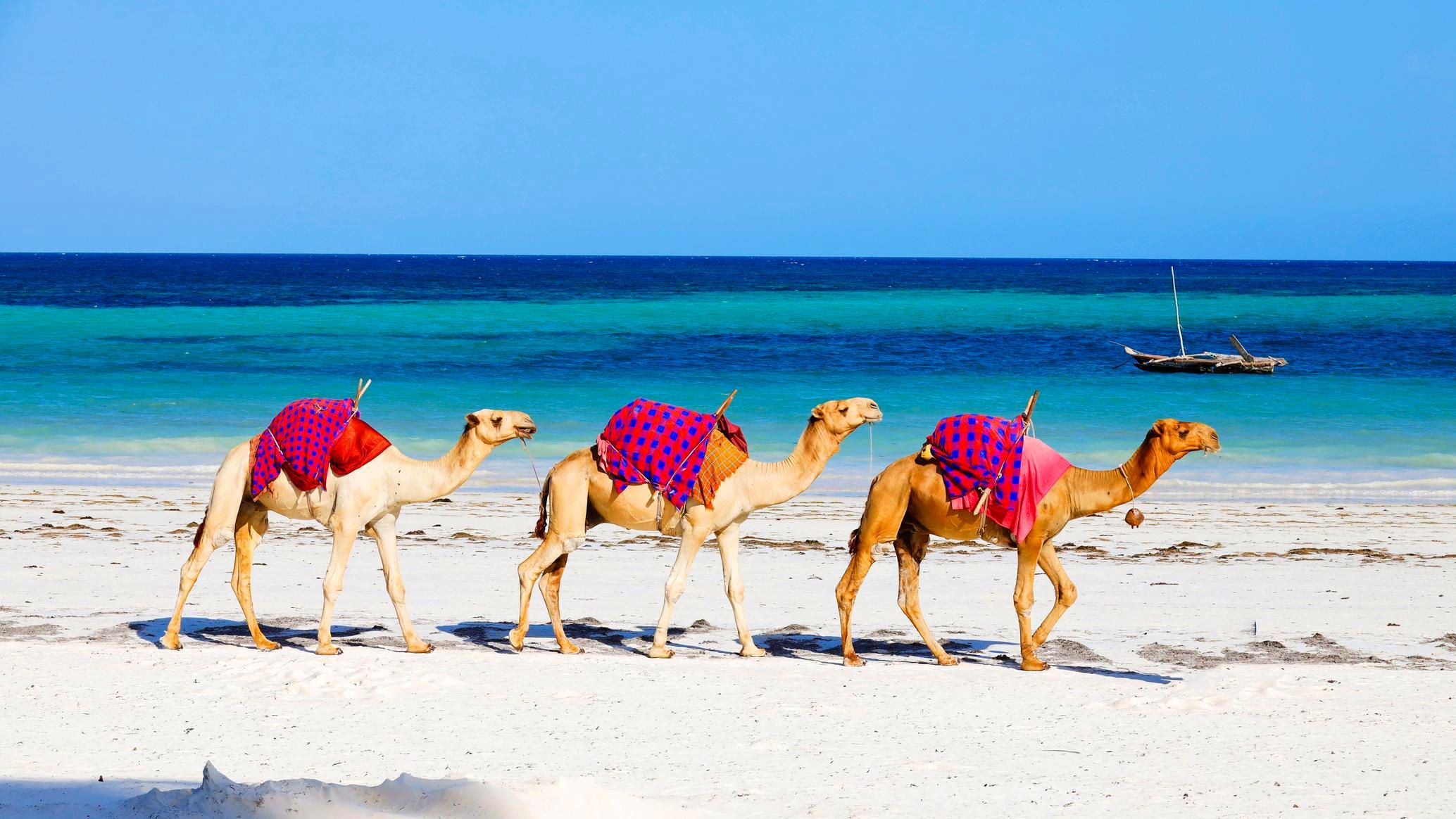 Diani Beach 2