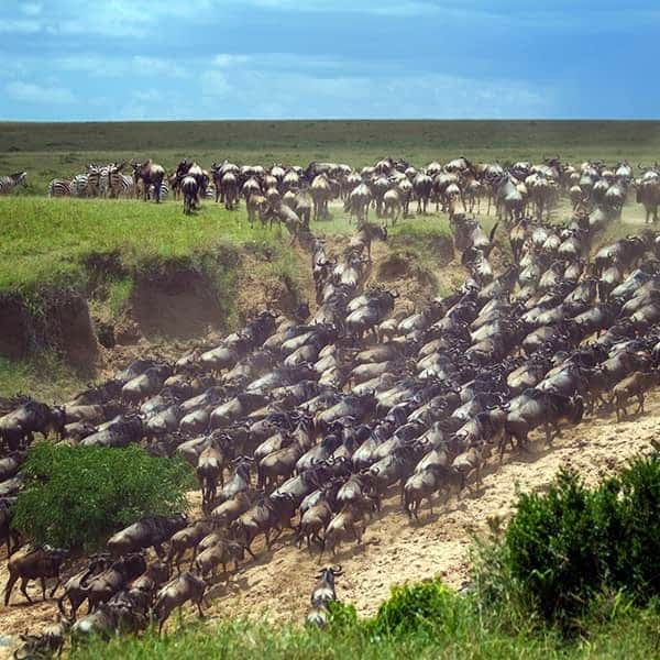 Maasai Mara National Reserve