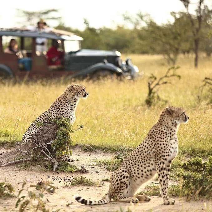 Maasai Mara 5