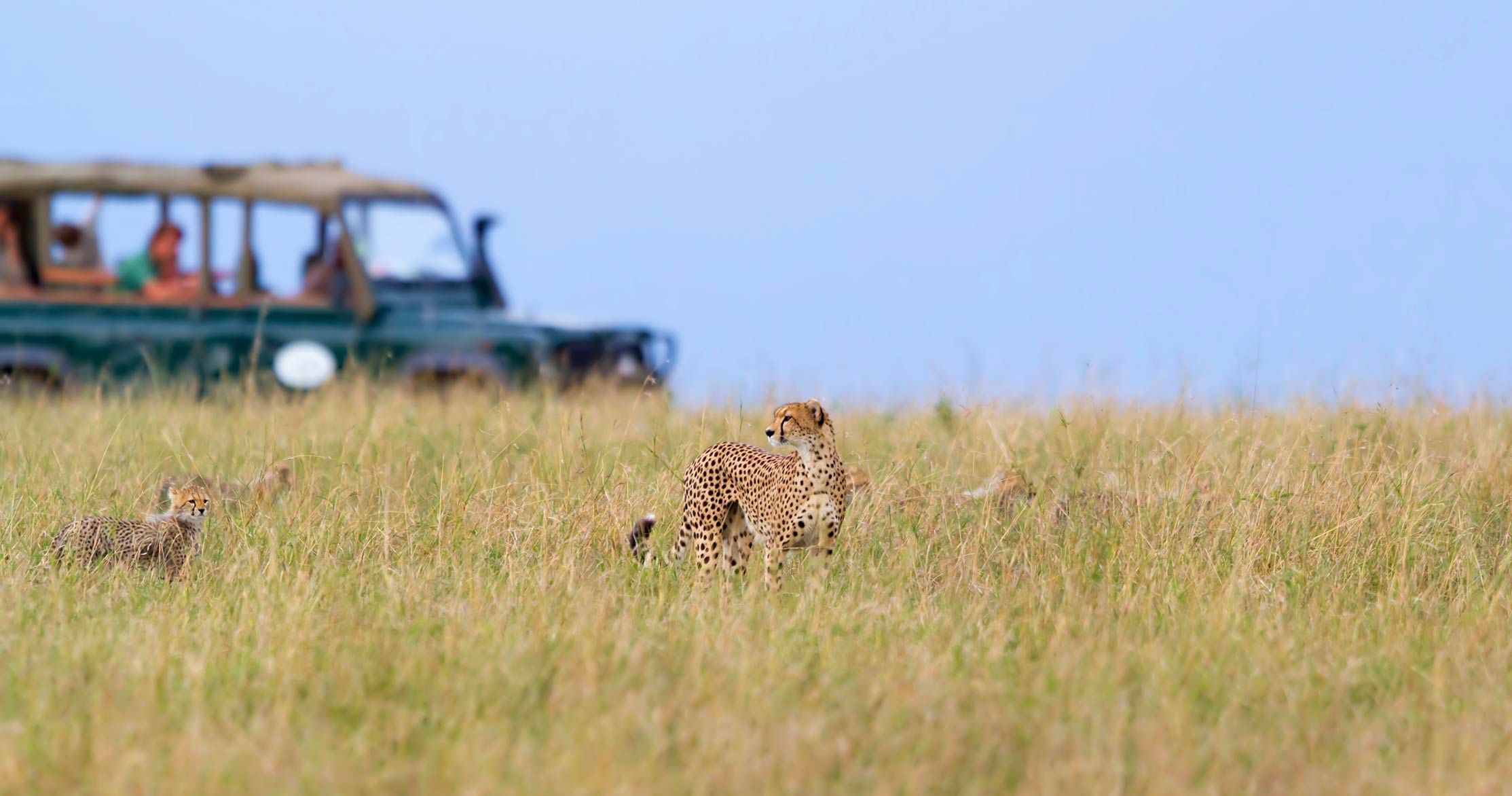 Maasai Mara — Low Season Group Joining Safari