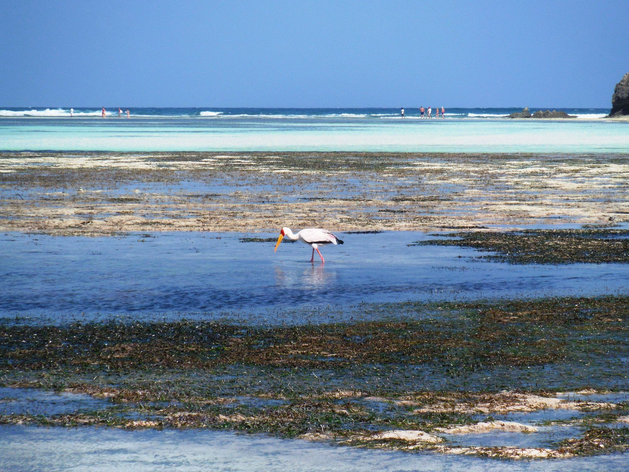 Watamu & Malindi 3