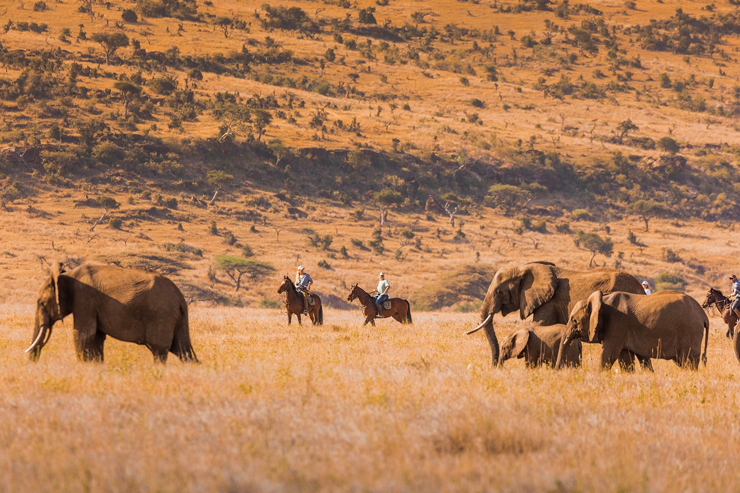 How to Choose the Perfect East African Safari