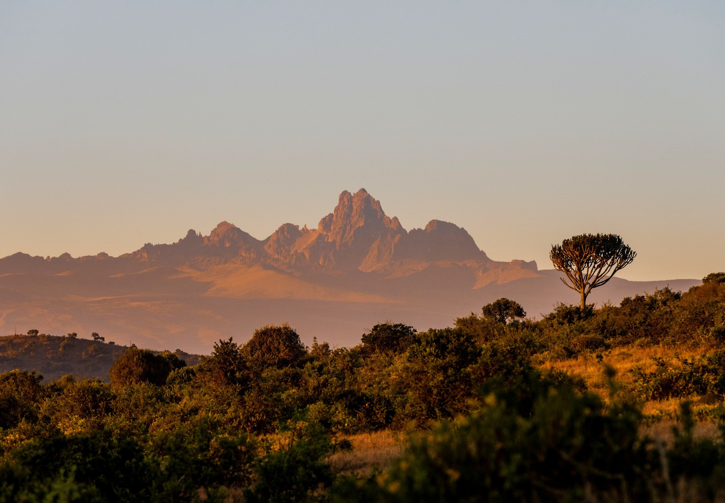 Borana Conservancy