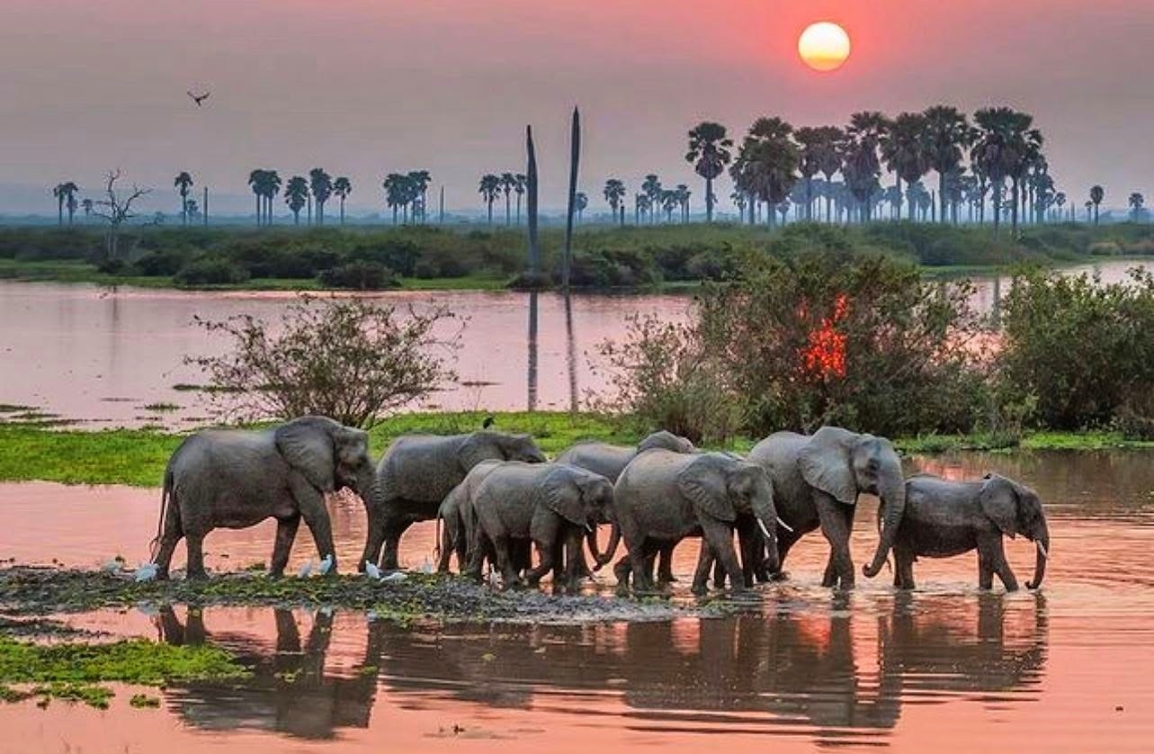 Nyerere National Park