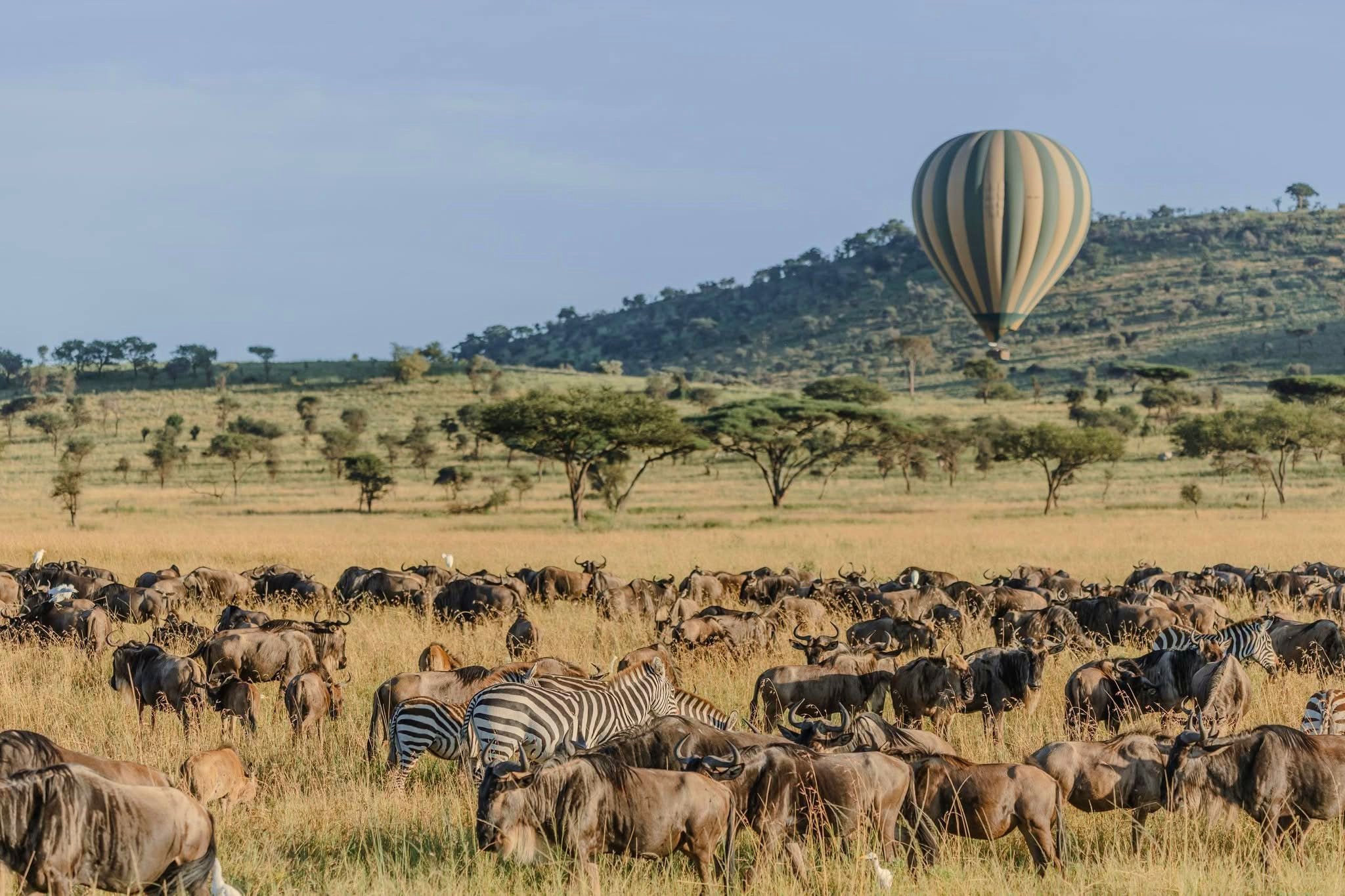 Hot Air Balloon Safaris