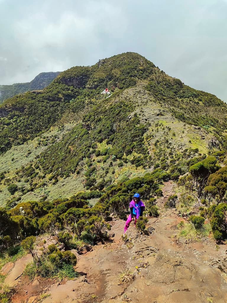 Hiking
