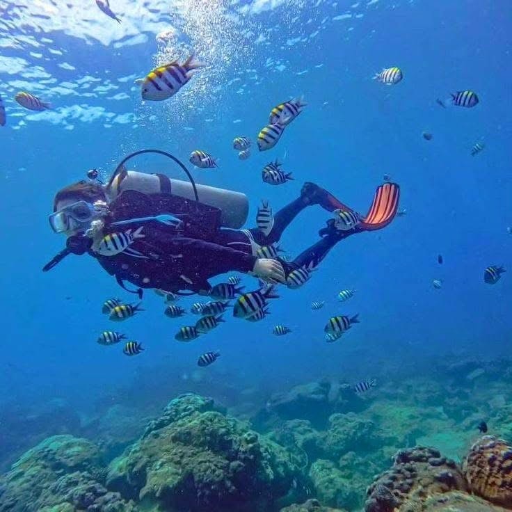 Snorkeling