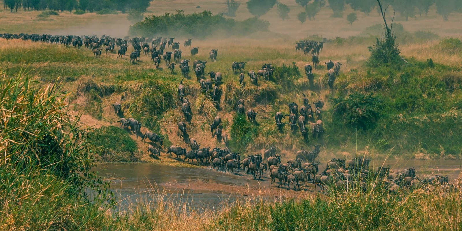Tanzania-Kenya Great Migration Luxury Safari