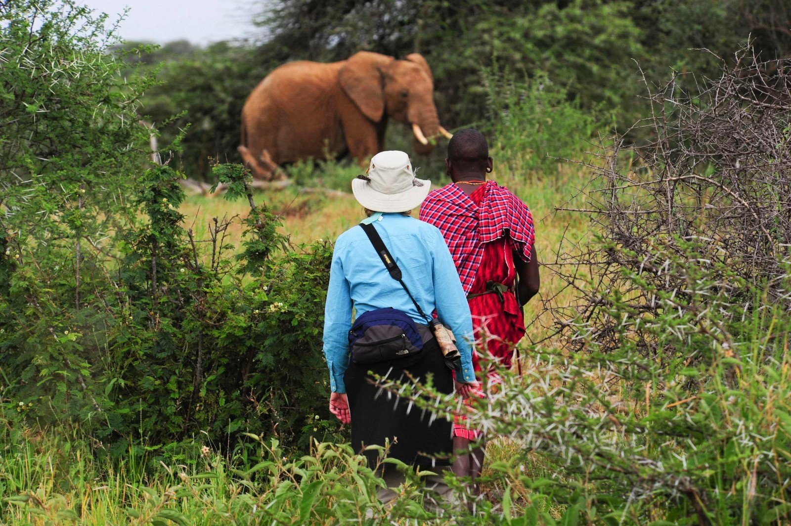 Luxury on Foot and Adventure in Kenya